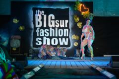 Photos by Michael Troutman (240/365)